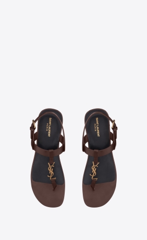 YSL Cassandre Sandals In Smooth Leather Dark Chocolate | DLQYF5027