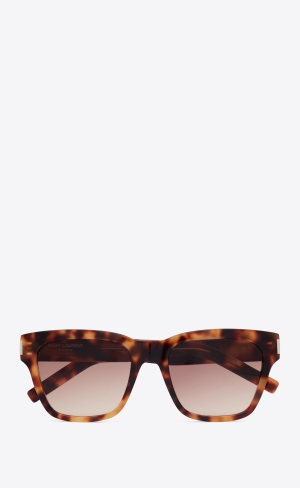 YSL Sl 560 Red Havana, Double Gradient Brown And Orange | PHWLJ9357