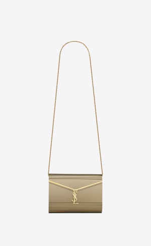 YSL Vicky Miniaudiere In Plexiglass Havane | EXDJM8213